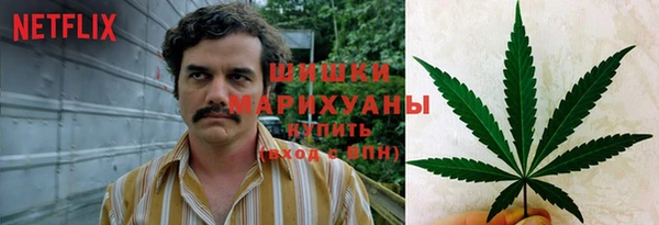 первитин Алексин
