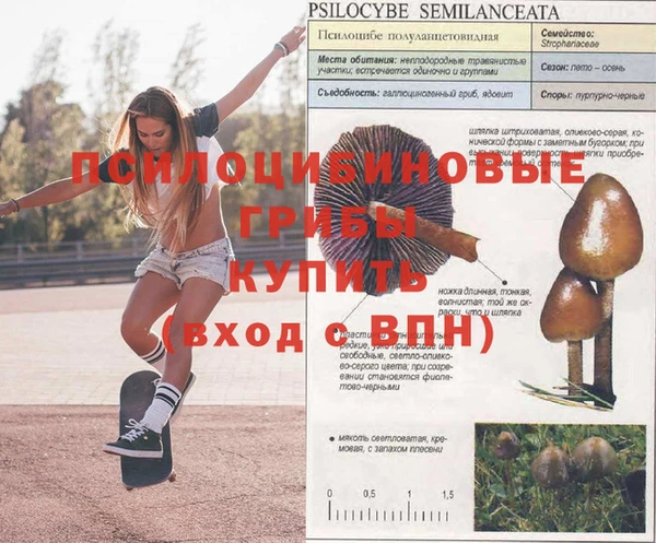 первитин Алексин