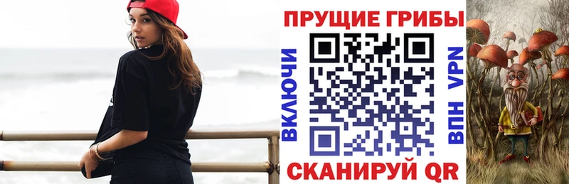 Псилоцибиновые грибы GOLDEN TEACHER  дарнет шоп  Гаджиево 